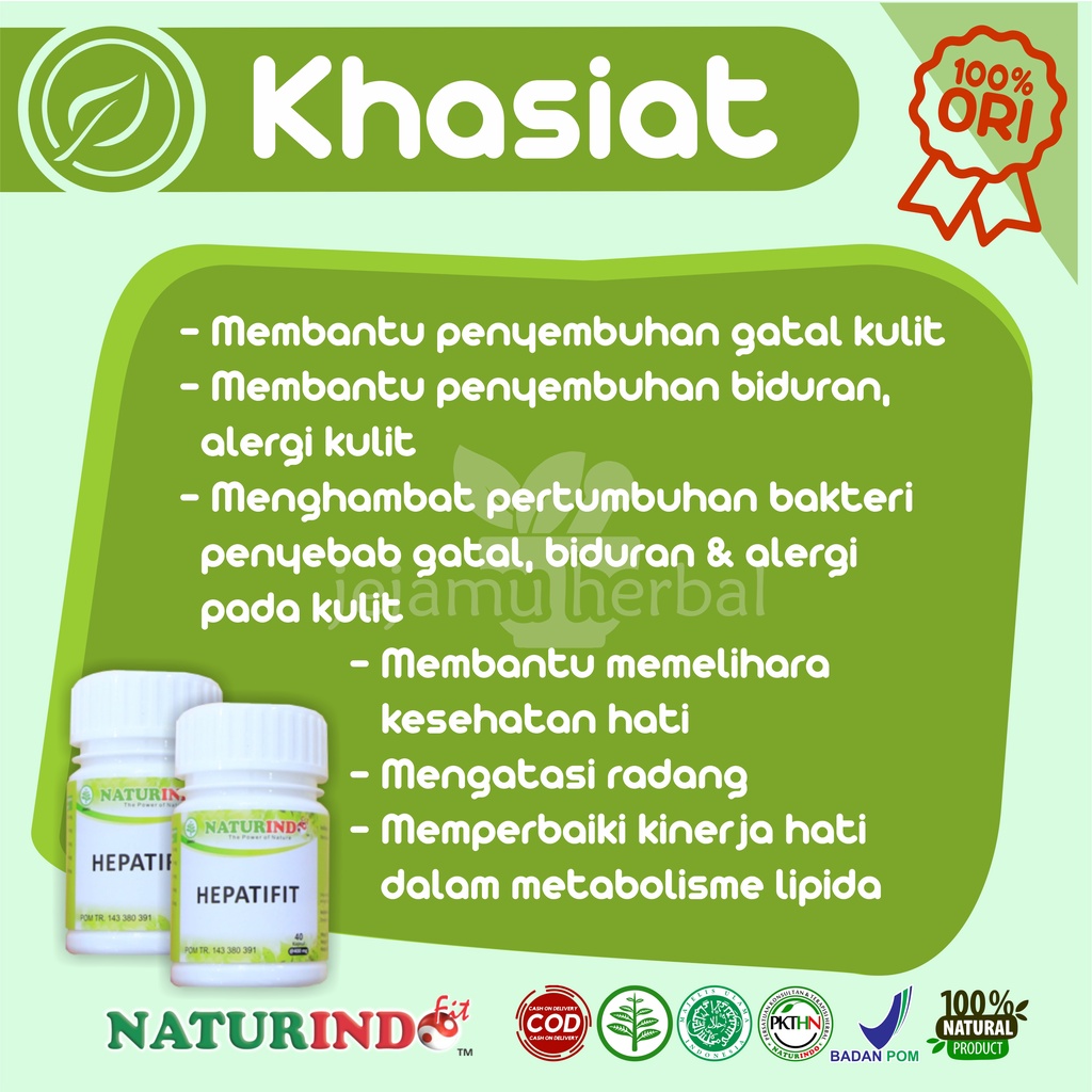 Obat Biduran Gatal Gatal Kulit Alergi Dingin Gatel Ampuh Bintik Merah Bentol Kulit Panu Kurap Kudis Kadas Eksim Obat Gatal Ampuh Jamur Kulit Herbal Naturindo Hepatifit BPOM halal Ampuh gatel gatel gatal Biduran Akut Hepatifit Naturindo Bpom-2