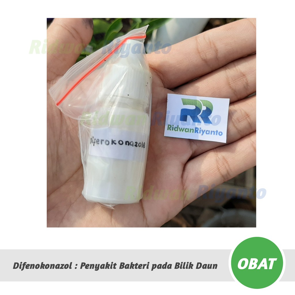 OBAT Cabai DIFENOKONAZOL Untuk Penyakit Bakteri pada Balik Daun