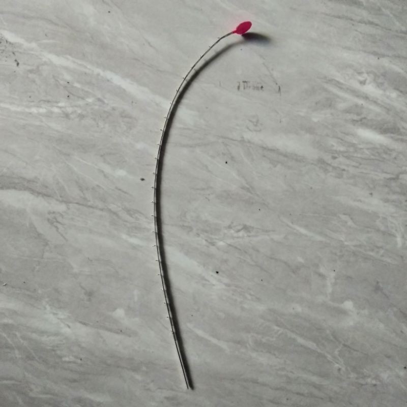 Entul pancing ujung joran tegek