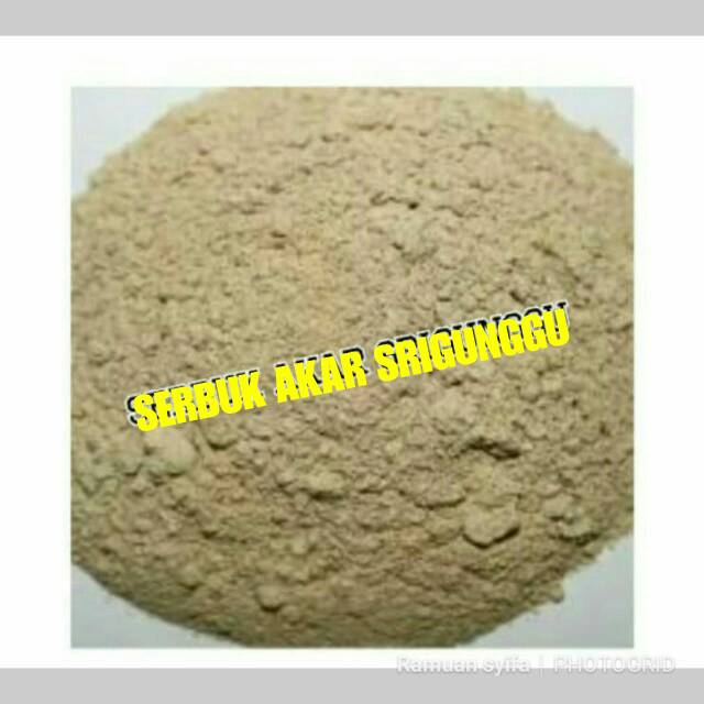 Obat gurah serbik akar srigunggu.original