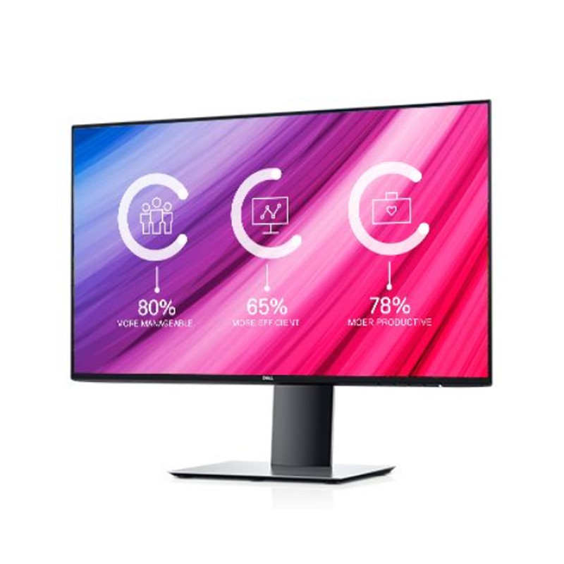 Dell UltraSharp 24 Monitor - U2419H Black
