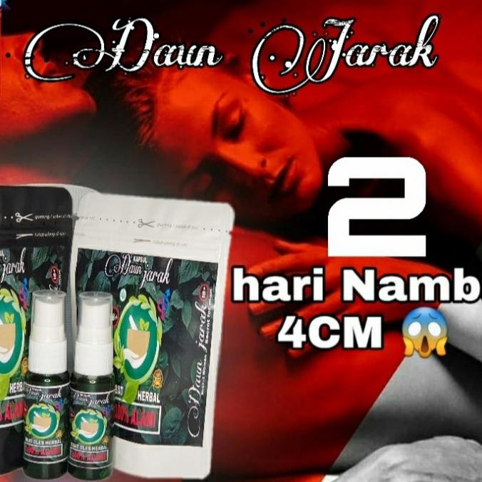 READY STOCK HOT PEMBESAR VITALITAS PRIA DAUN JARAK ASLI ORIGINAL HASIL PERMANEN Murah