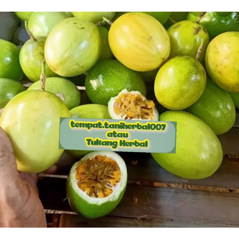 

Buah markisa/Buah langka/buah markisa kuning/selalu Ready stok 500gram