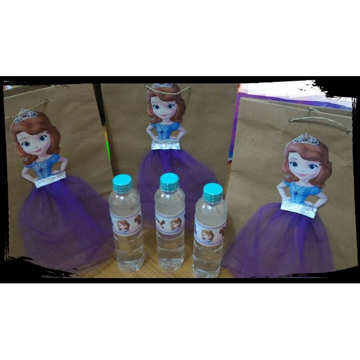 

goodie bag princess sophia the first 3D