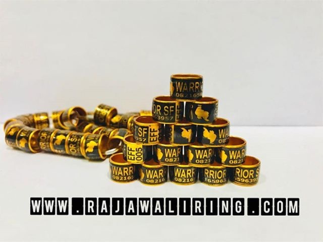 Ring burung roda premium per 25 pcs