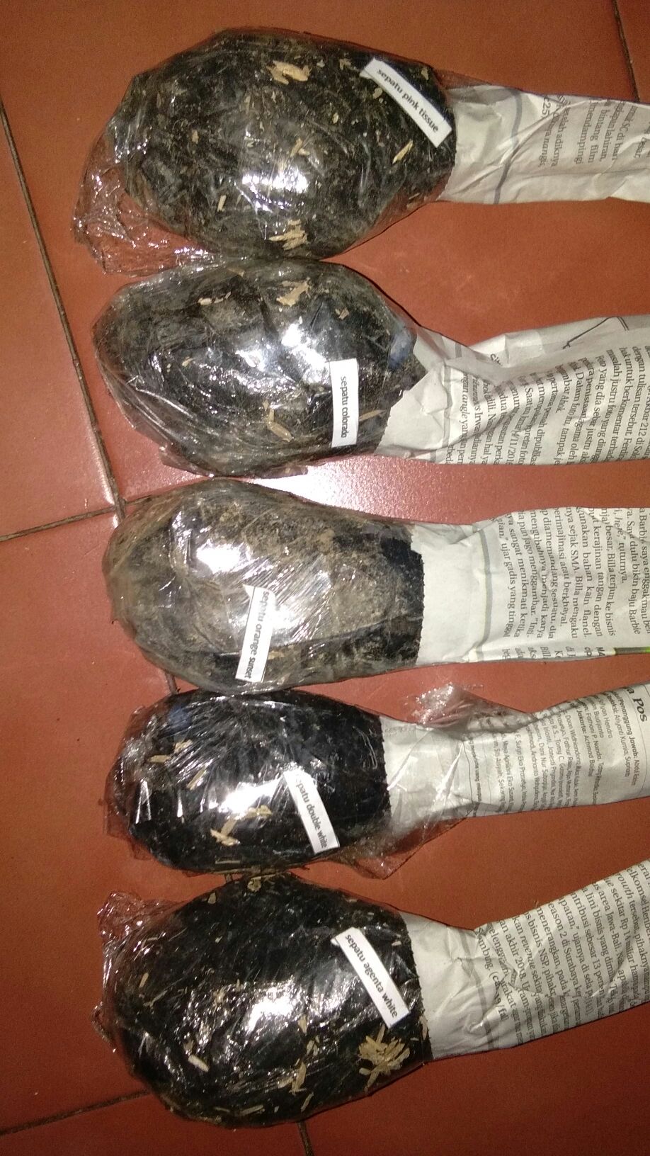 Paket Bunga Sepatu 5pcs