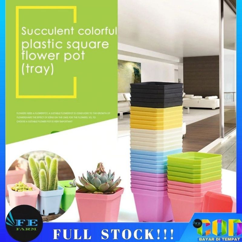 Pot Plastik Mini Tumbuhan, Bunga, Kaktus / Cactus Kotak 7cm Rainbow Pastel Series Persegi