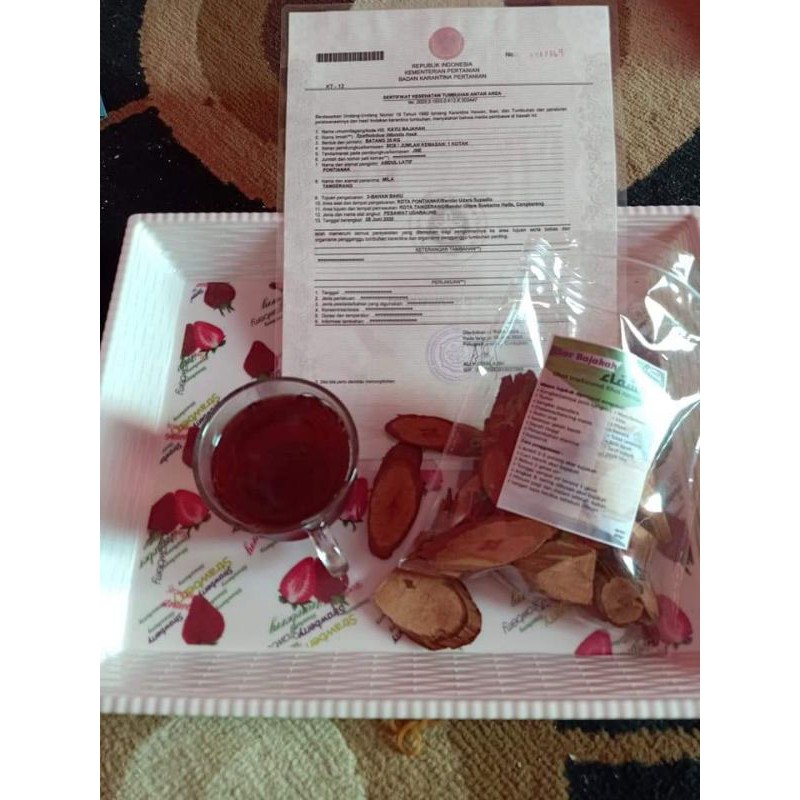 

AKAR BAJAKAH ASLI KALIMANTAN 100gr/KANGKER/TUMOR