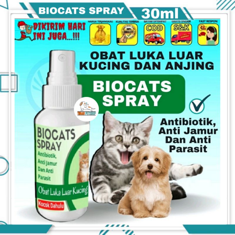 Obat Kucing Luka Luar Basah Spray Untuk Anjing Dan Kucing Cepat Kering Ampuh Biocats