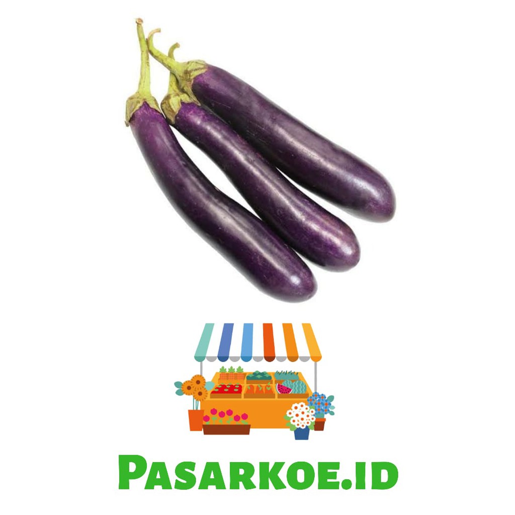 

TERONG UNGU / EGGPLANT 500 GRAM