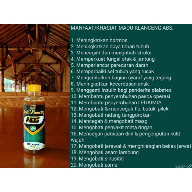 Jual MADU KLANCENG ABS / Madu TRIGONA Asli | Shopee Indonesia