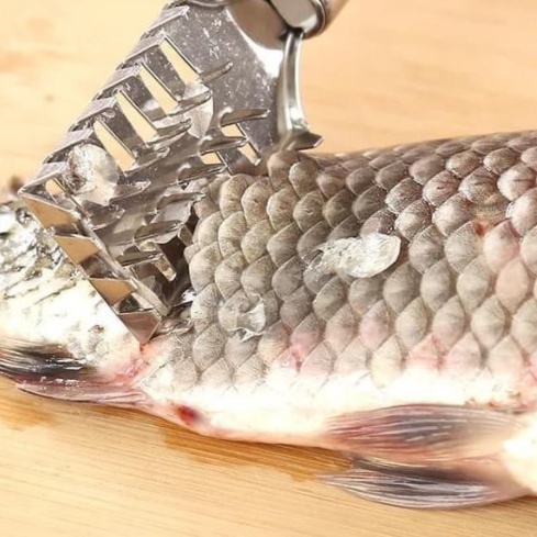 Pembersih Sisik Ikan Stainless Steel / Pengupas Sisik Ikan / Pisau Pembersih Sisik Ikan