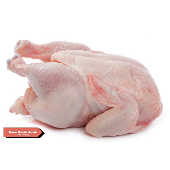 

Daging Ayam BROILER Utuh Fresh