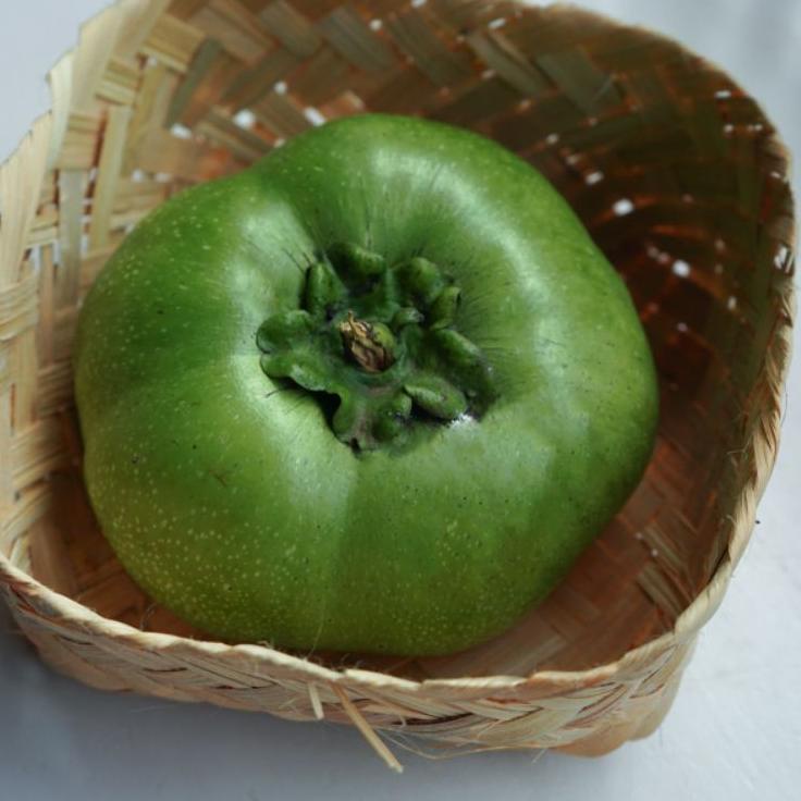 

[PRODUK 6N7OG] Buah giant black sapote 7MJ