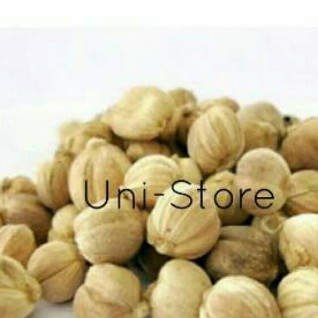 

Grosir Kapulaga Kering Pilihan Rempah Rempah Herbal