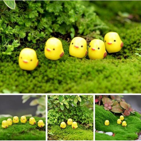 Miniatures - Terrariums - Fairy Garden Animal_Chicks (5pcs)