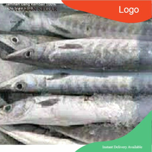 

ikan barakuda segar 500 gram