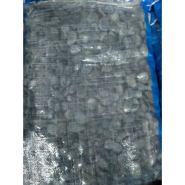 Batu Koral Hitam karungan 10kg / Batu Coral hitam Bengkulu / Batu Taman