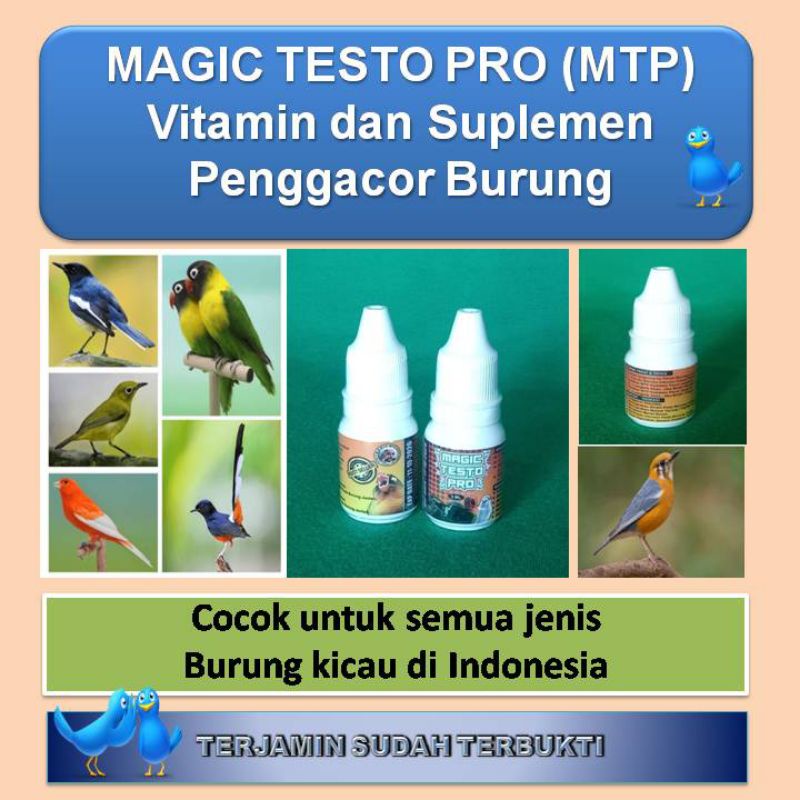 MAGIC TESTO PRO MTP