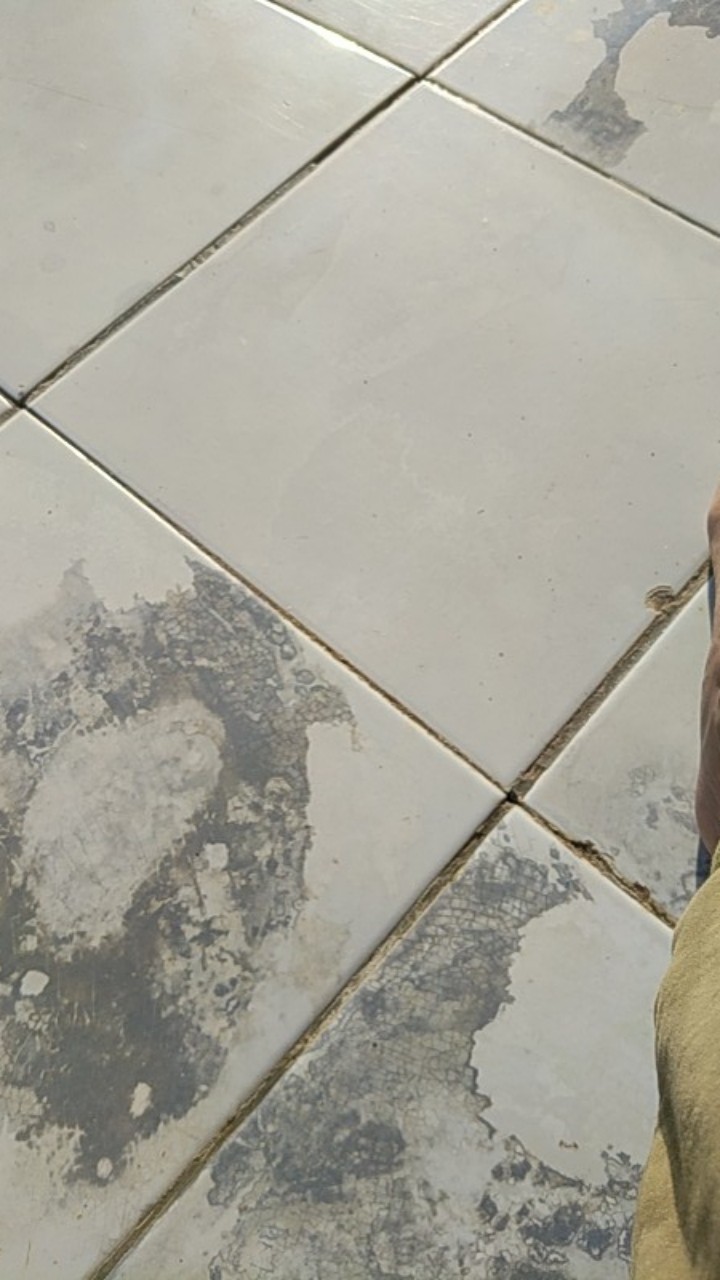 Sepatu Snaekers Wanita Tali Pita
