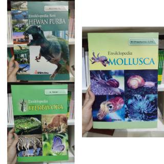 9800 Koleksi Gambar Tengkorak Hewan Herbivora Terbaik