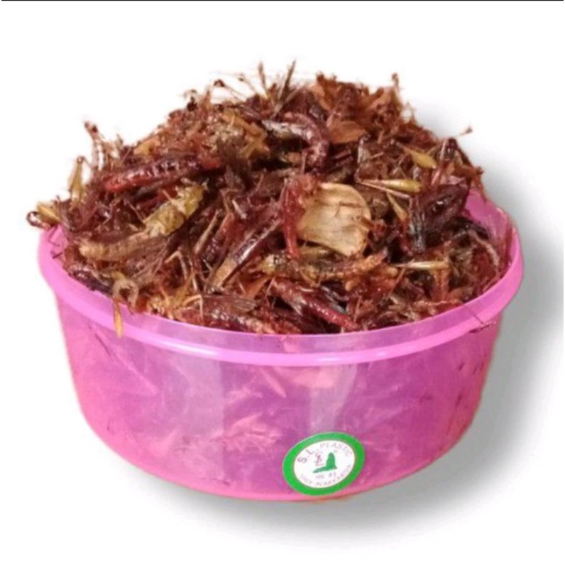 

BELALANG GORENG KECIL/PADI TOPLES WARNA 180 GRAM