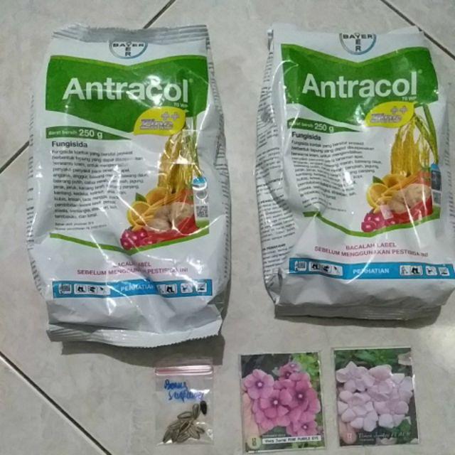 Fungisida Antracol 250 Gram