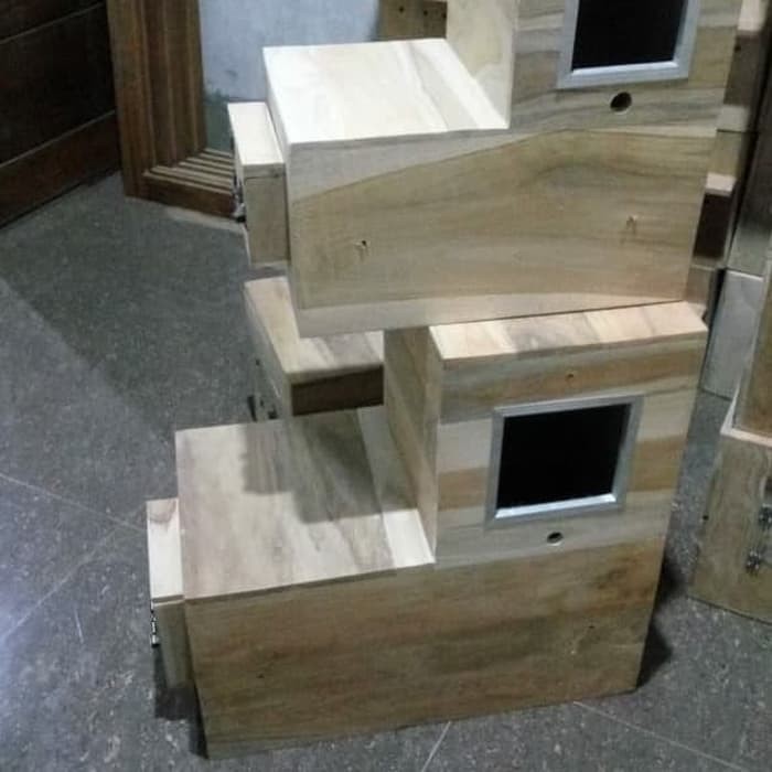 Glodok Glodokan Sarang Bertelur Burung Afgrey , Bayan , Kakatua dll