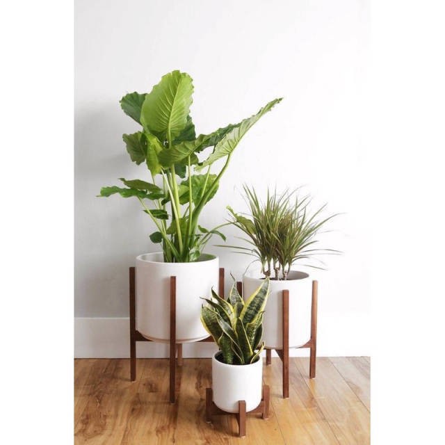 Rak Bunga Standing Pot Tanaman Bunga Rak Bunga Kayu Pot Bunga Kayu Standing Pot Kayu