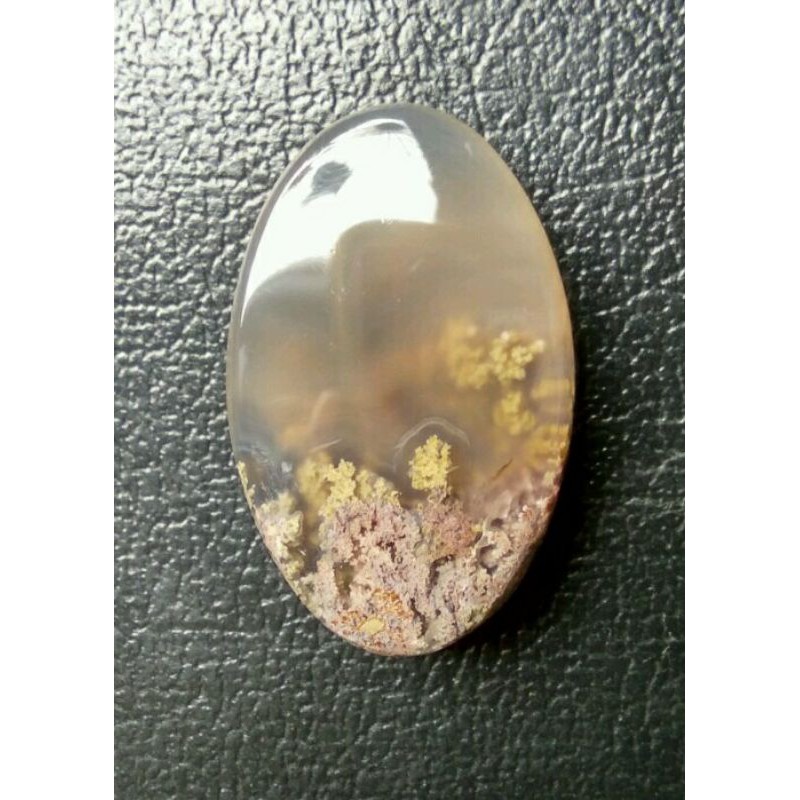 Lumut Trenggalek 03 bukan Pancawarna Pirus Badar Besi