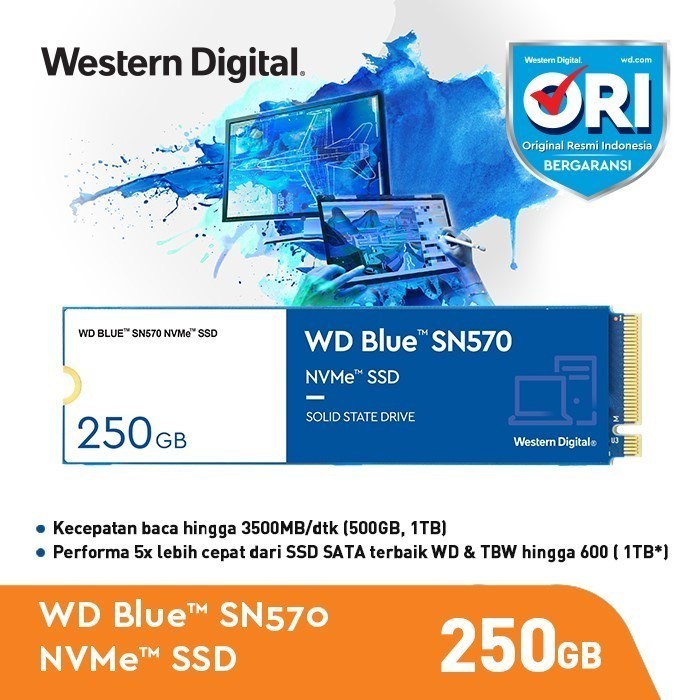 SSD WD Blue SN570 250GB 250 GB - SSD M.2 NVMe PCIe