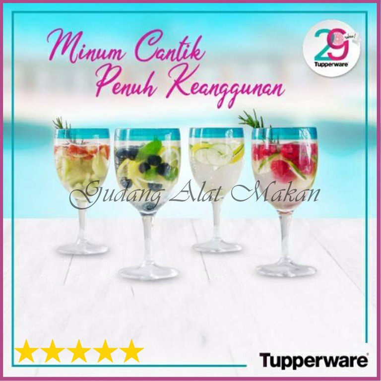 TUPPERWARE Allegra Sparkling Glass Wine 4pcs