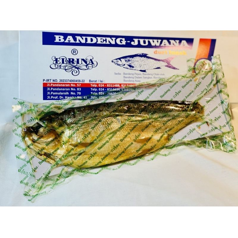 

Juwana Elrina Bandeng Presto 1kg Vakum Basah Semarang