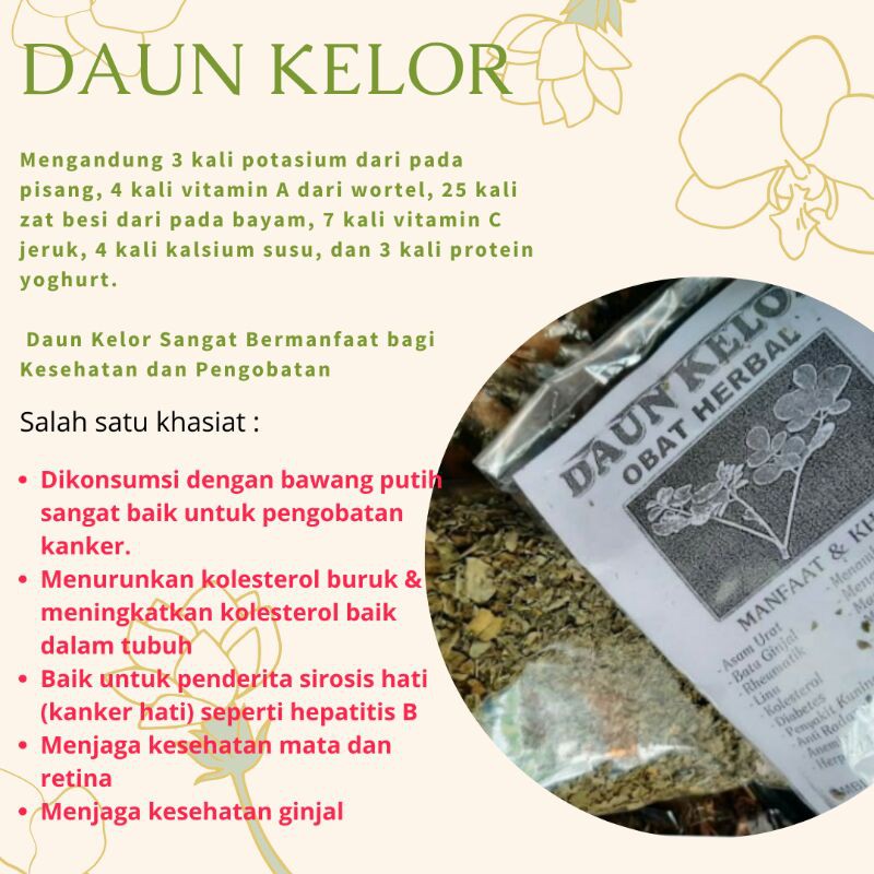 

Daun Kelor