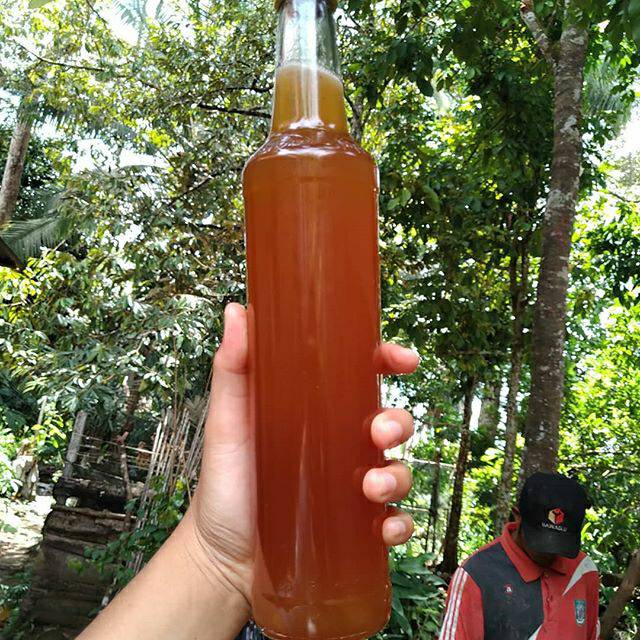 

Madu Hutan BANGKA-Raw Honey