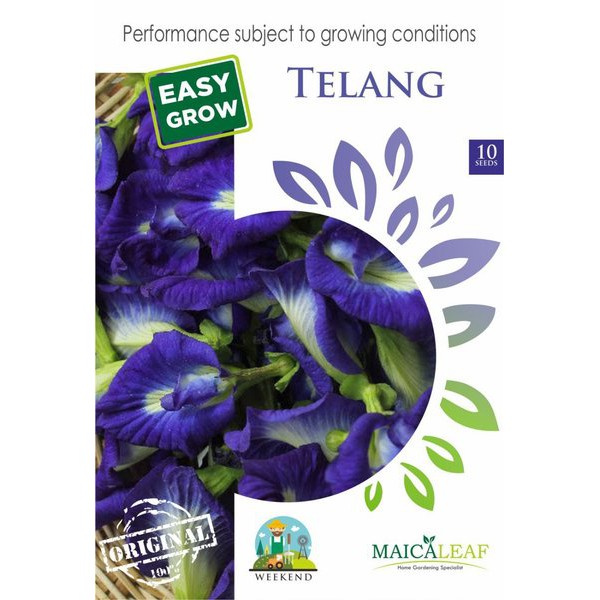 Benih Bunga Telang/Bibit Bunga Telang  isi 10 Benih