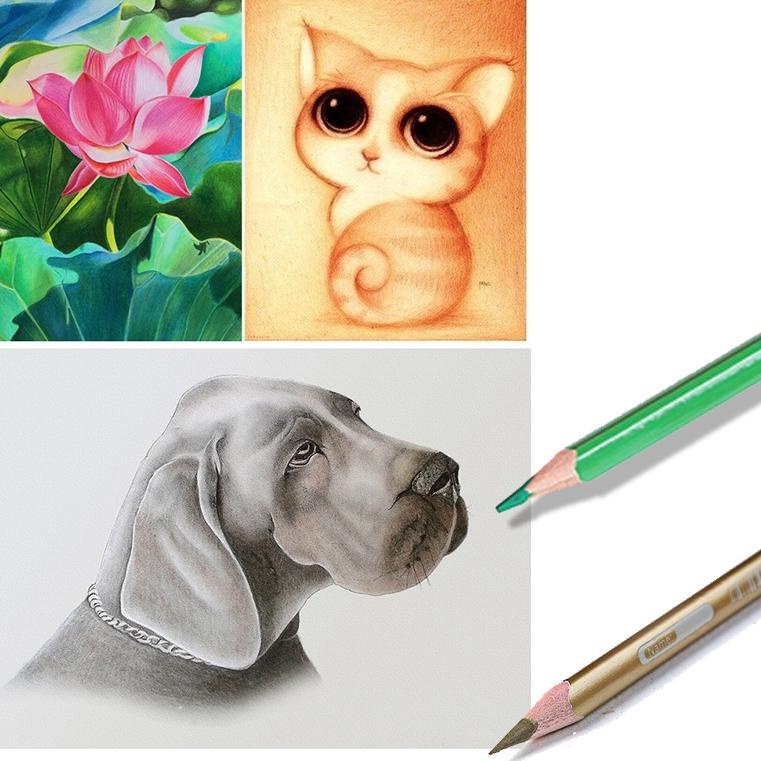 

(G9S5) Smartfish Oil Pensil Warna Dengan Kualitas Tinggi 12/24/36/48/72/120 WaterColor //Sudah@promo