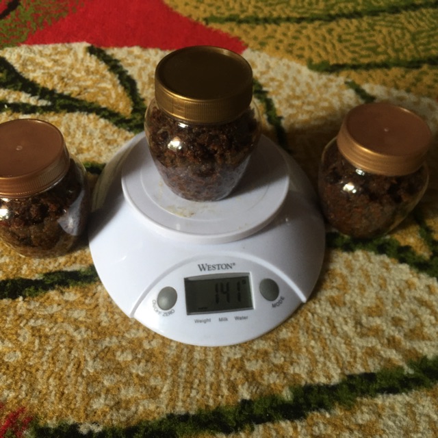 

Ika Roa khas Sulawesi siap Makan