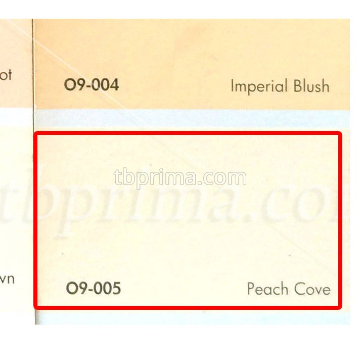 No Drop Tinting O9-005 Peach Cove 1 kg