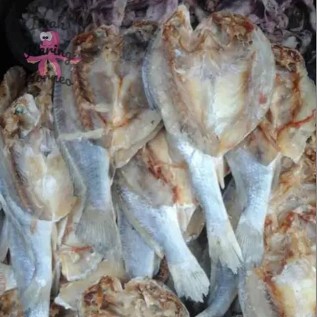 Ikan Asin Kepala Batu Kering 1 KG Ikan Asin Belama