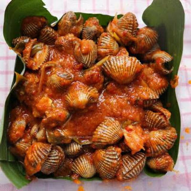 

Extra Kerang Dara