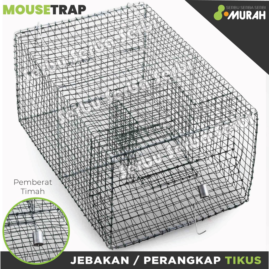 Serbu Murah - Sentek Perangkap Tikus Box Besar - Perangkap Tikus Kawat Tikus Massal Besar - Termurah