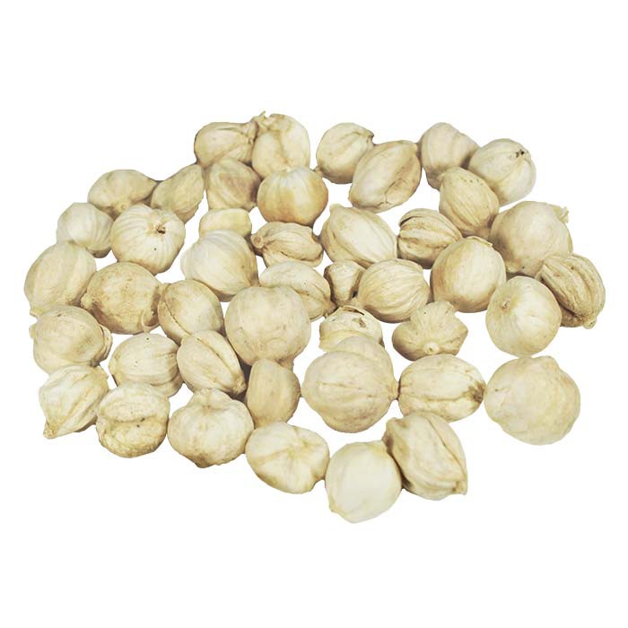 

Kapulaga bumbu mentah 50 gram