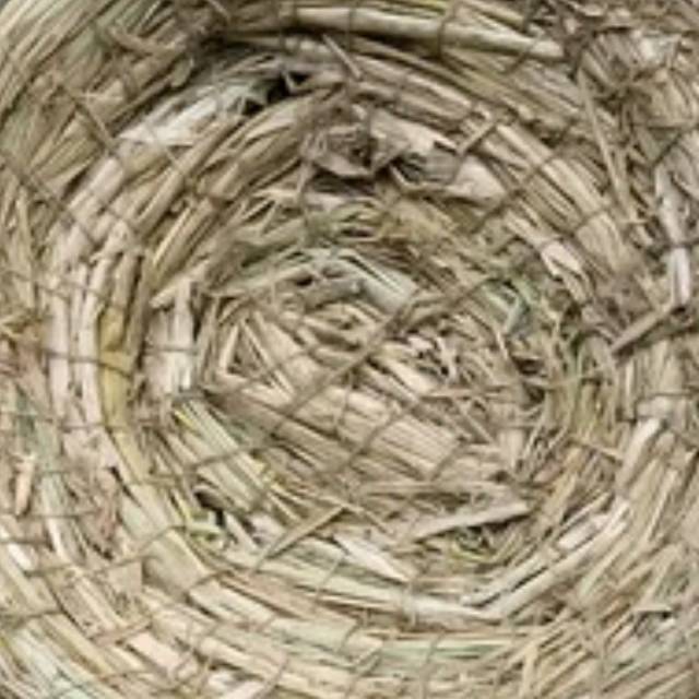 Sarang goni ayam untk mengeram telur