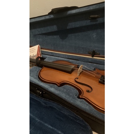 hofner violin