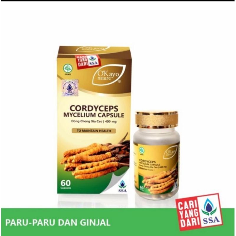 cordyceps mycelium capsule dong chong Xia cao