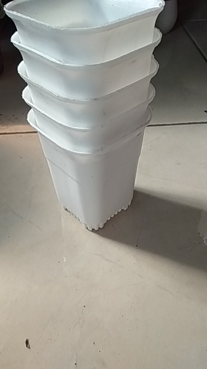 Pot Hias Kotak Untuk Sekulen Dan Kaktus 8,5cm (harga Satuan)