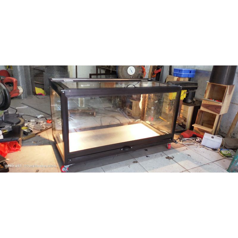 terrarium kura kura darat