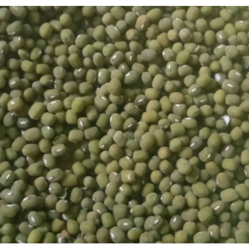

kacang hijau 500 gram