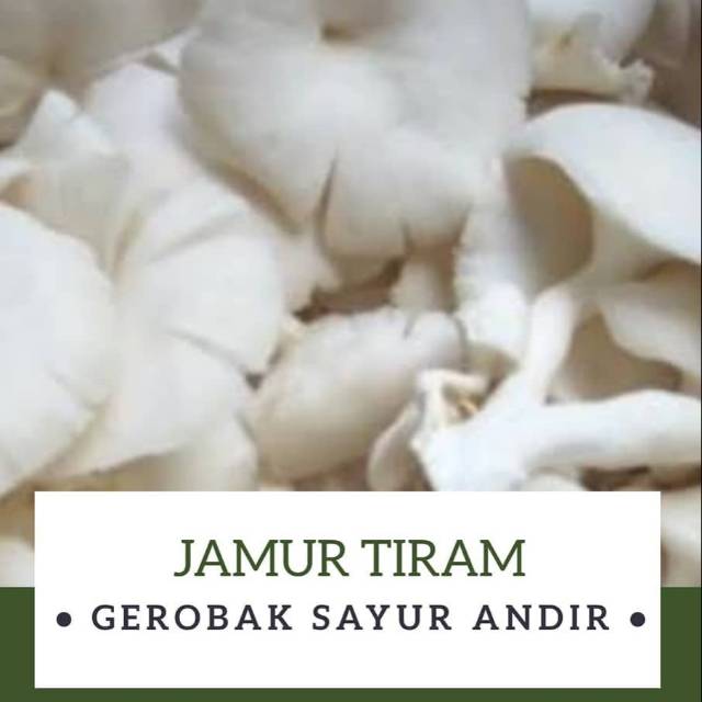 

Jamur Tiram /250gr